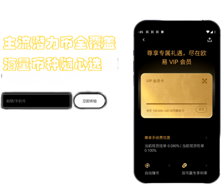 入金详情界面